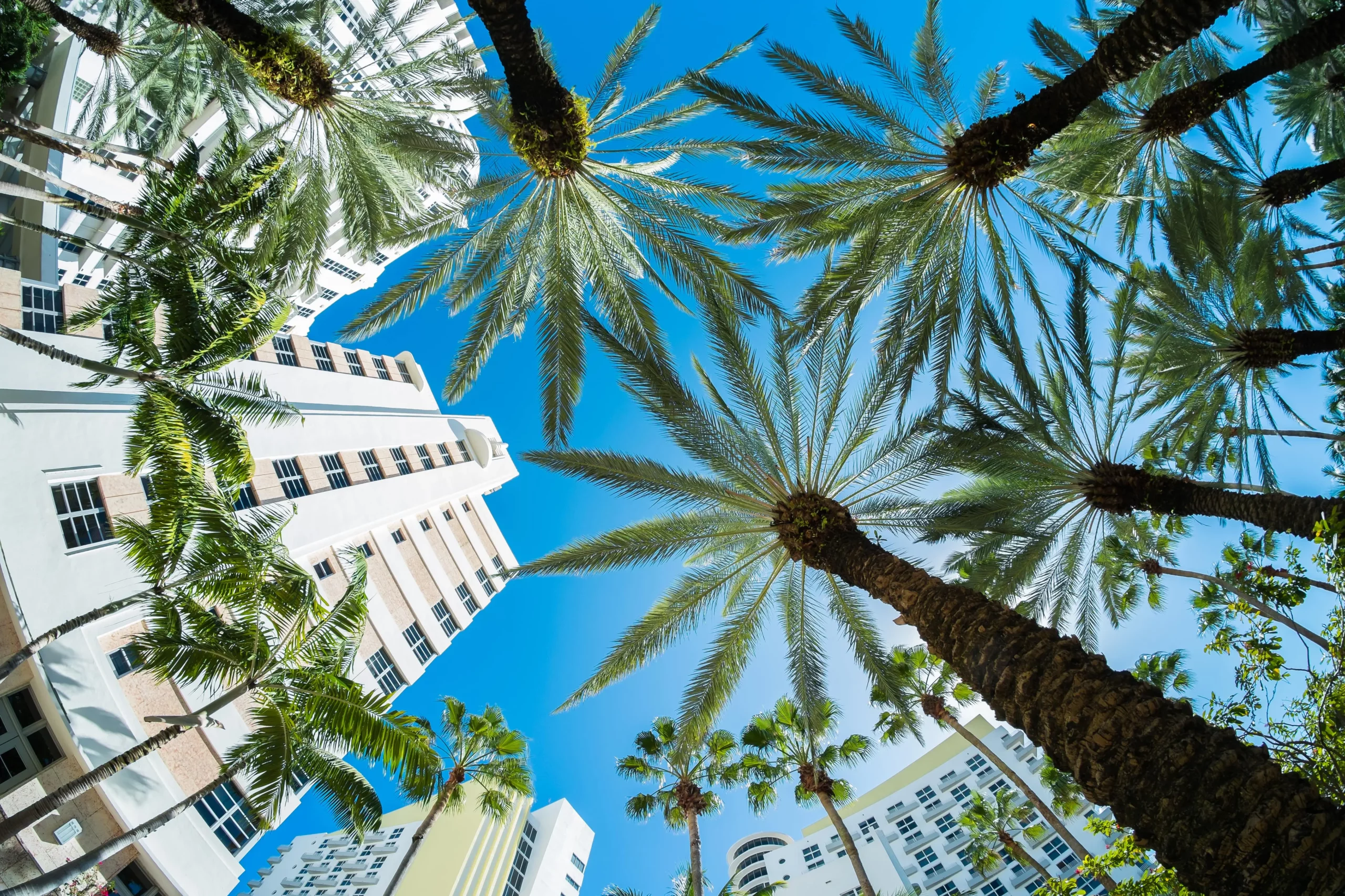 legal issues in real estate litigation