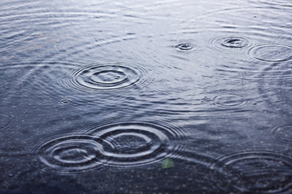 Miami Water Damage Lawyer