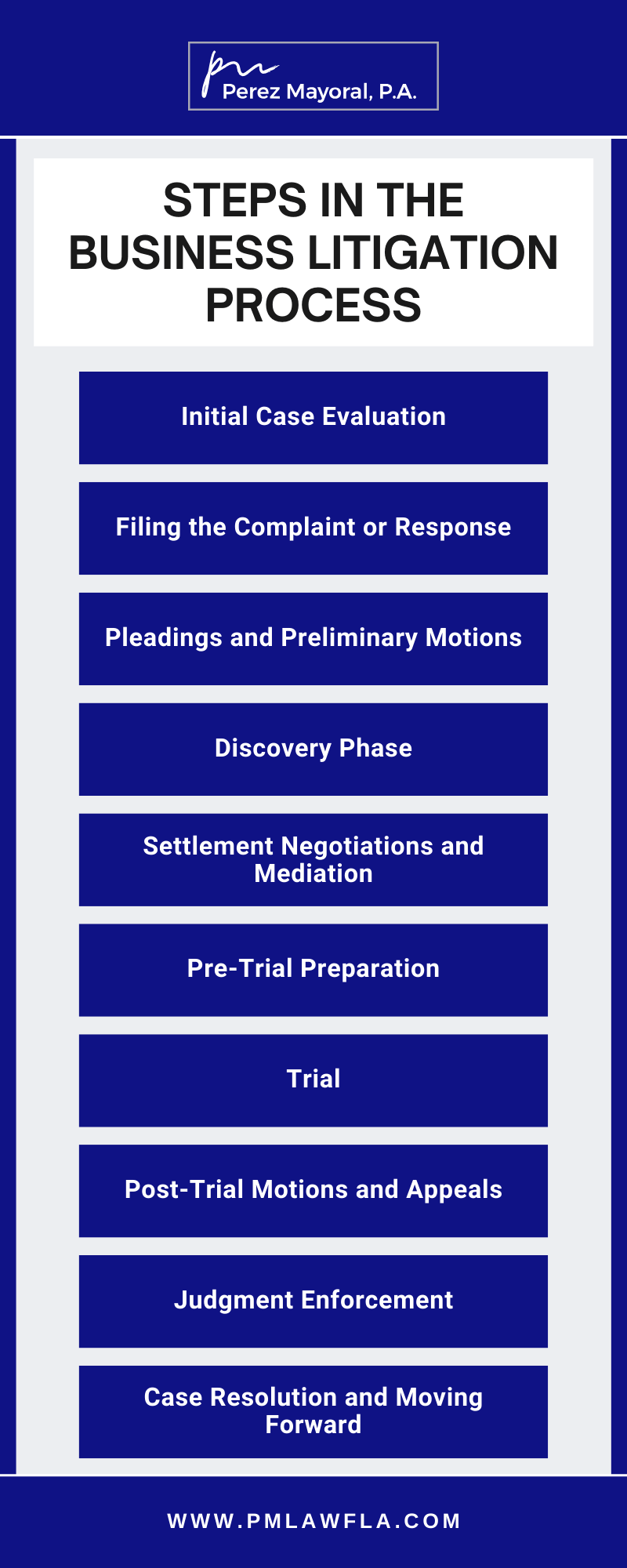 Steps In The Business Litigation Process Infographic